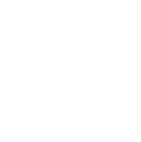 Health Insurance Icon