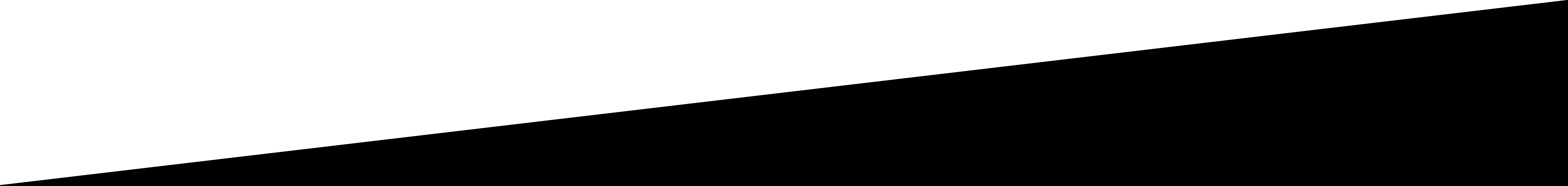 Scout Diagonal Banner 1