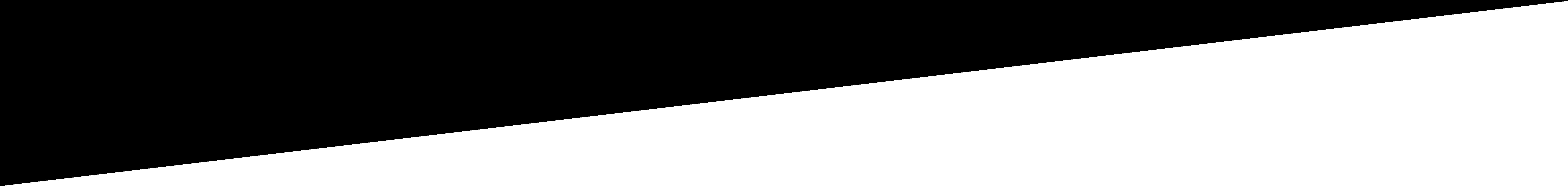 Scout Diagonal Banner 2