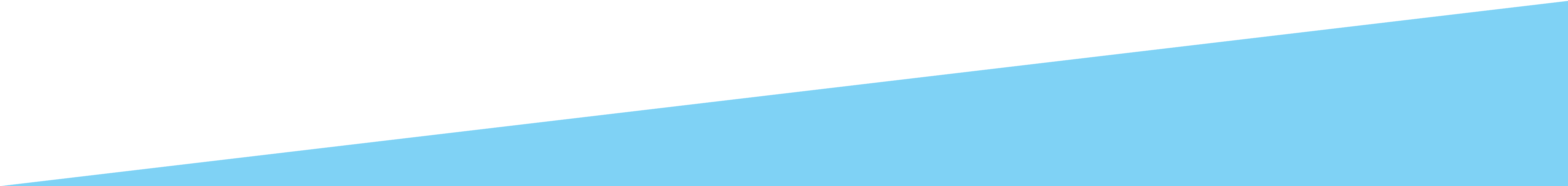 Scout Diagonal Banner White-Blue