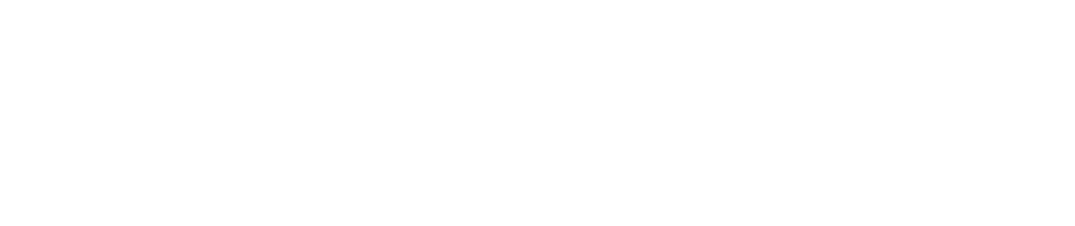 Tiffany & Co White Logo